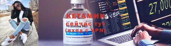 крисы Алзамай
