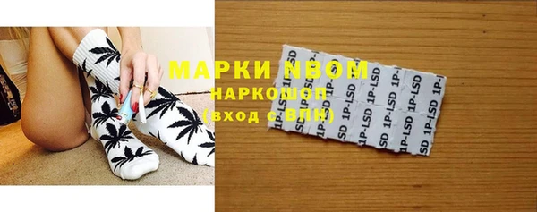 крисы Алзамай