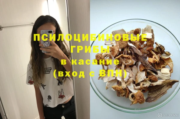 дмт Алексеевка