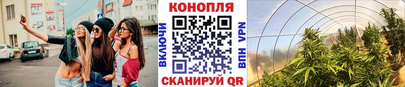Бошки Шишки MAZAR  мега как войти  Кемерово 